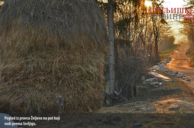 02.01.2013. / Pogled iz Željeva na seoski put koji vodi prema Svrljigu 3 FOTODANA