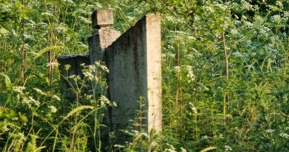 Seoska groblja zapuštena, zarasla u korov, bujad, kupine... - Svrljig INFO