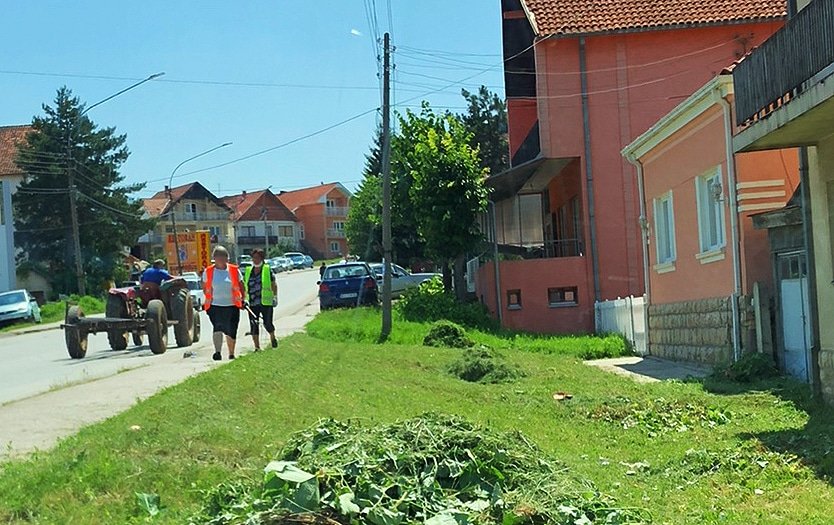 Uređenje zelenila, foto: M.M.