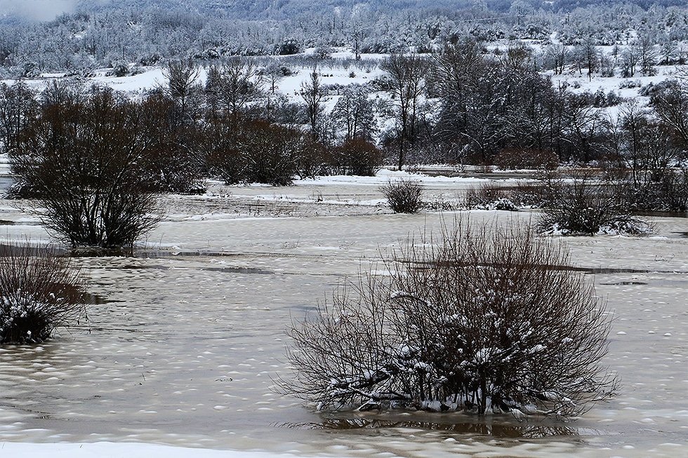 Potopljeni usevi duž Svrljiškog Timoka... 1 Izlivanje Svrljiškog Timoka kod Okruglice, foto: Svrljiške novine