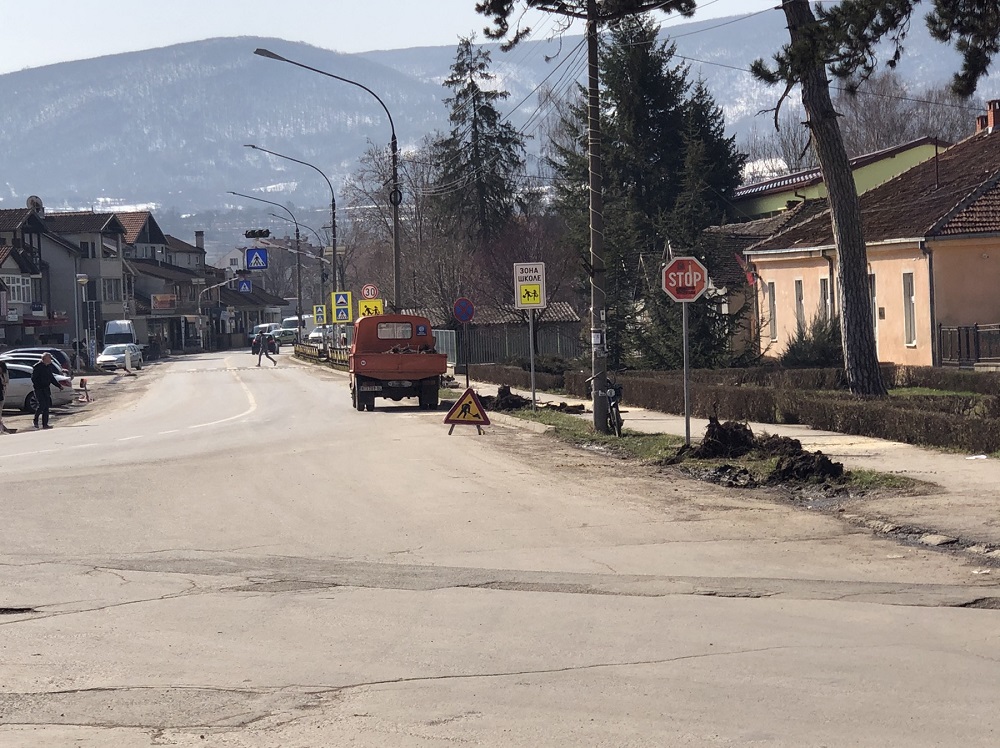 Posečena stabla, foto: Svrljiške novine