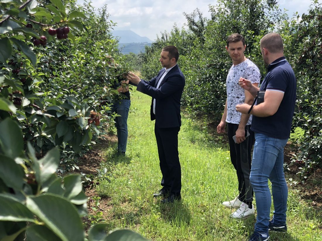 Predsednik Marković obišao sela pogođena gradom 2 Višnjar, foto: M.M.