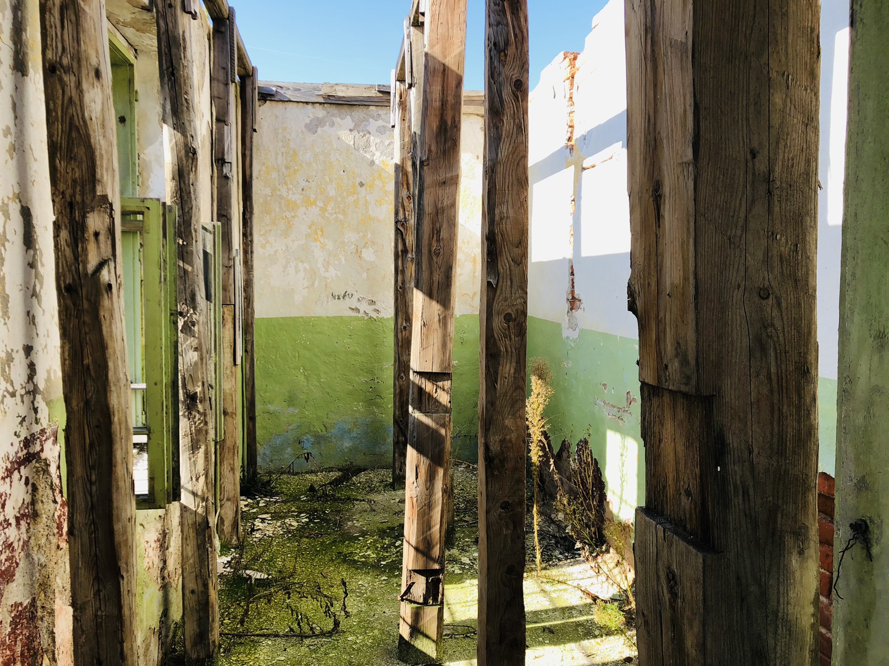 Pogledajte šta još Niševac dobija pored vizitorskog centra (FOTO+VIDEO) 3 Vizitorski centar, foto: M.M.