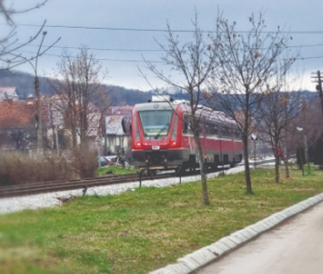 Voz, foto: Svrljiške novine