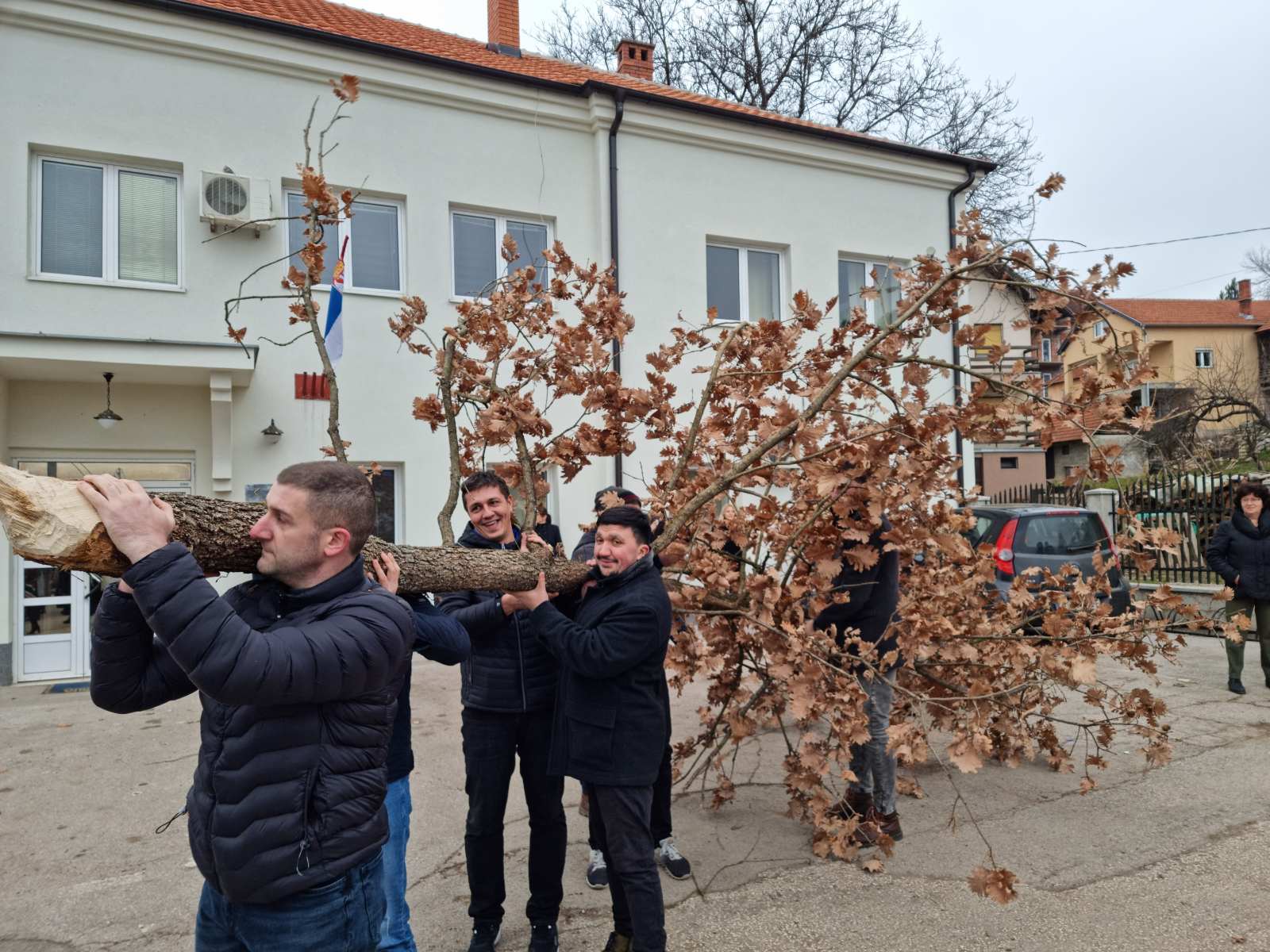 Badnjak ispred zgrade opštine Svrljig, foto: M.M.