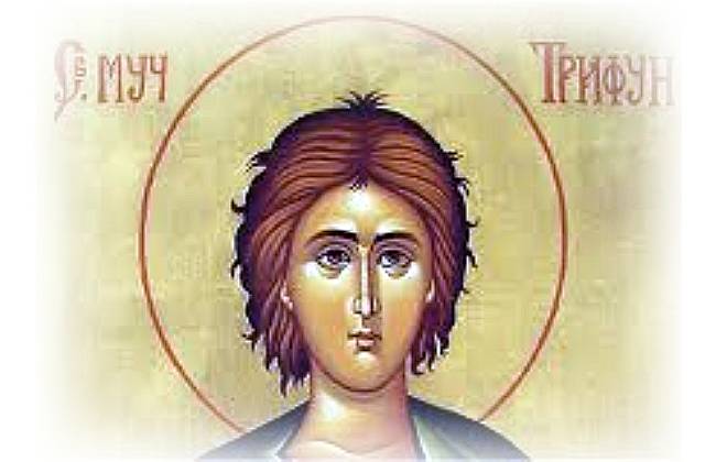 Danas je Sveti Trifun, ikona, ilustracija