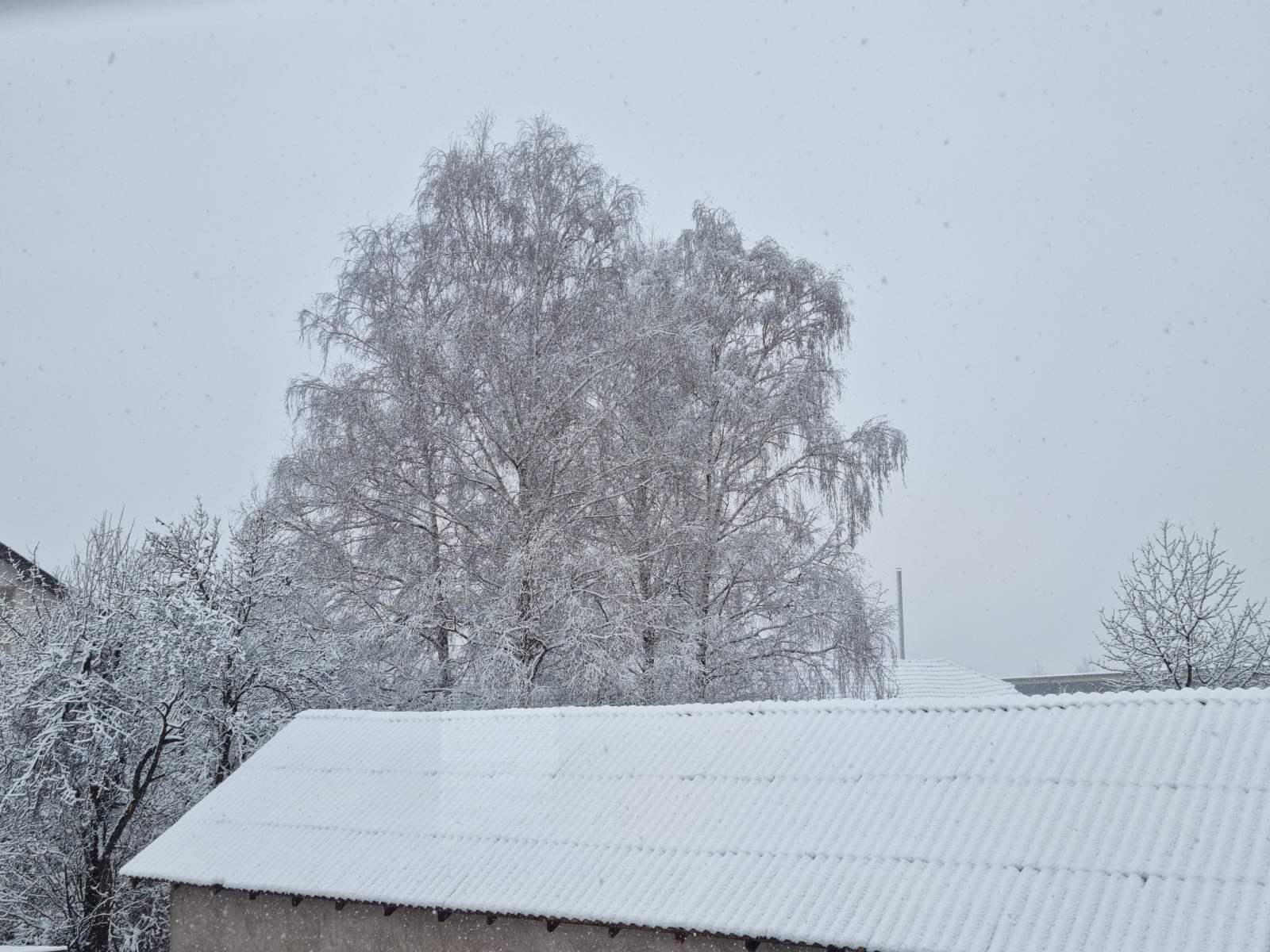Sneg, Svrljig, foto: Redakcija