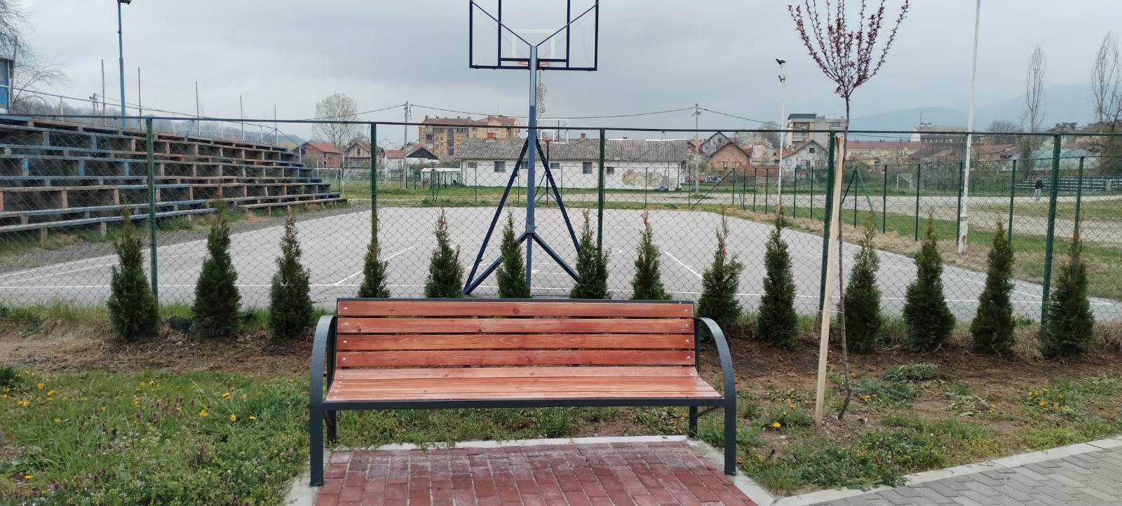 Posađene tuje, foto: M.Đ.