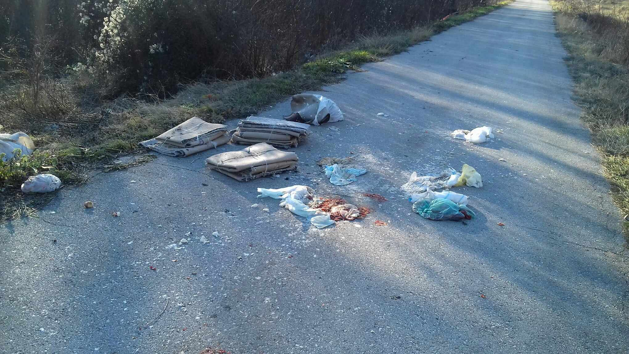 Smeće na putu Niševac-Plužina, foto: J.M.