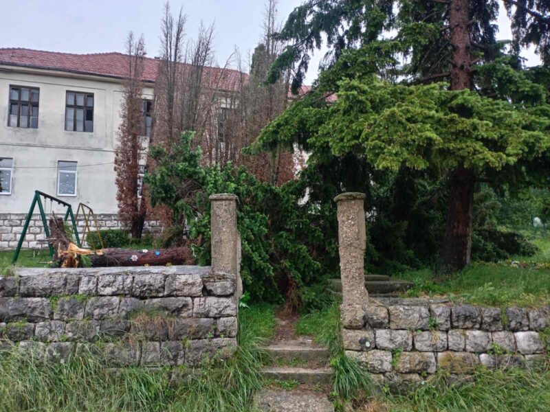Nevreme napravilo štetu u Lalincu: Stablo palo u dvorištu škole 2 Nevreme nanelo štetu, foto: Meštani sela Lalinac
