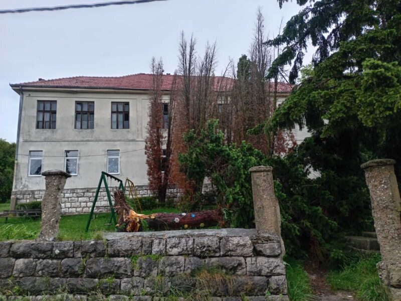 Nevreme napravilo štetu u Lalincu: Stablo palo u dvorištu škole 3 Nevreme nanelo štetu, foto: Meštani sela Lalinac