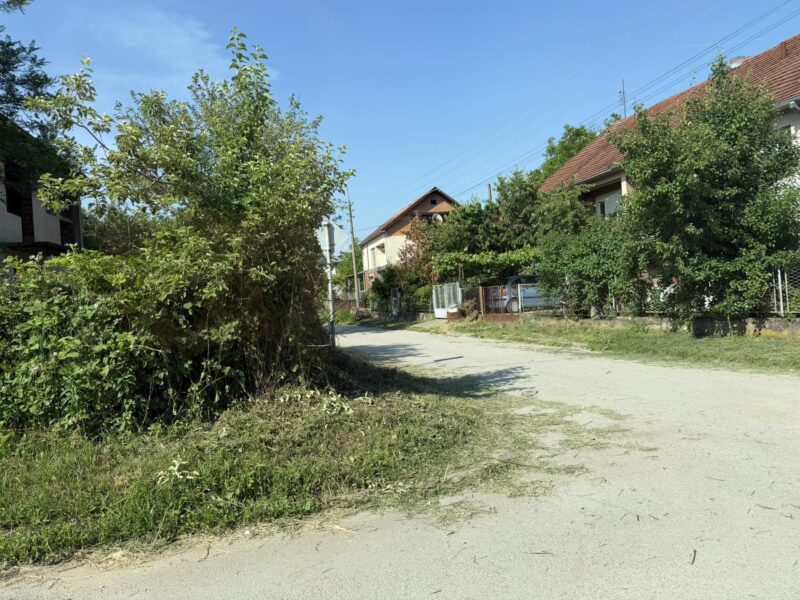 Nakon pisanja Svrljiških novina očišćeno rastinje na problematičnoj raskrsnici u Svrljigu 1 Ugao ulica Radničke i Lole Ribara, foto: Svrljiške novine