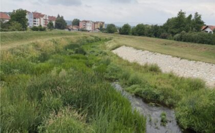 Korito Svrljiškog Timoka, foto: Svrljiške novine