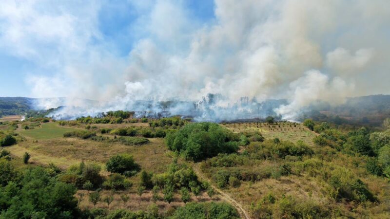 Veliki požar zahvatio Lipnicu, stavljen pod kontrolu posle nekoliko sati 1 Požar, foto: Svrljiške novine